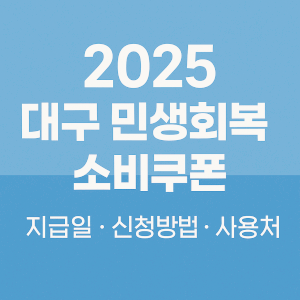 대구 민생회복 소비쿠폰