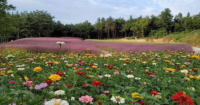가산수피아