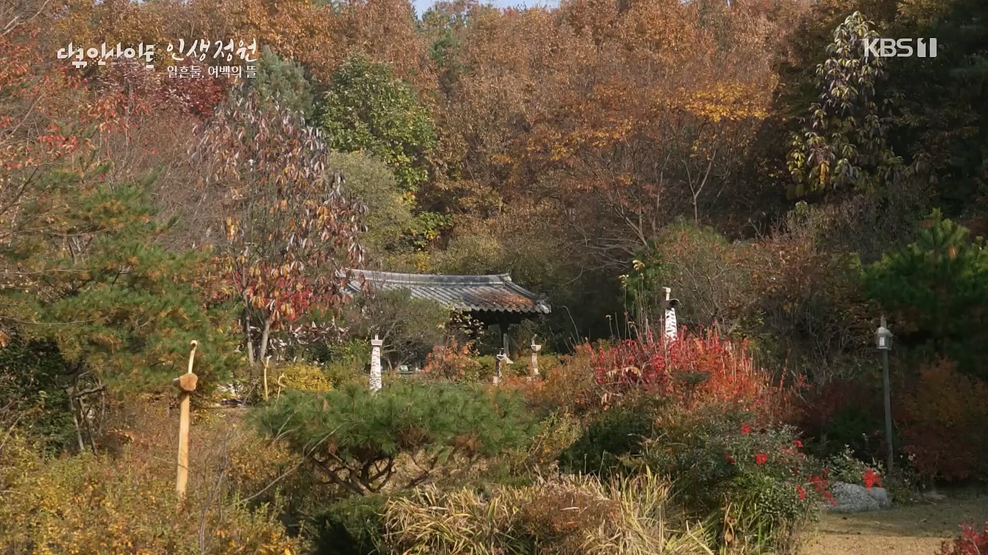 다큐 인사이트.E135.221229p.H264-F1RST.mp4_20230109_204225.117.jpg