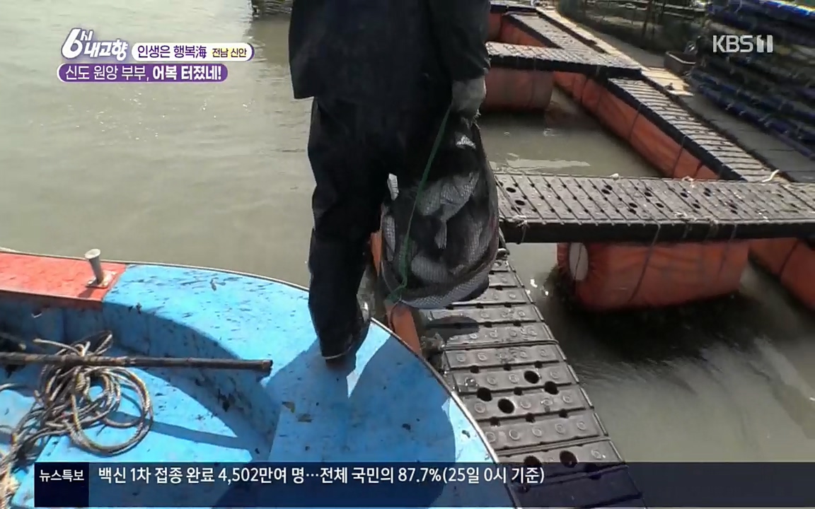 6시 내고향.E7518.220426p.H264-F1RST.mp4_20220504_192443.530.jpg