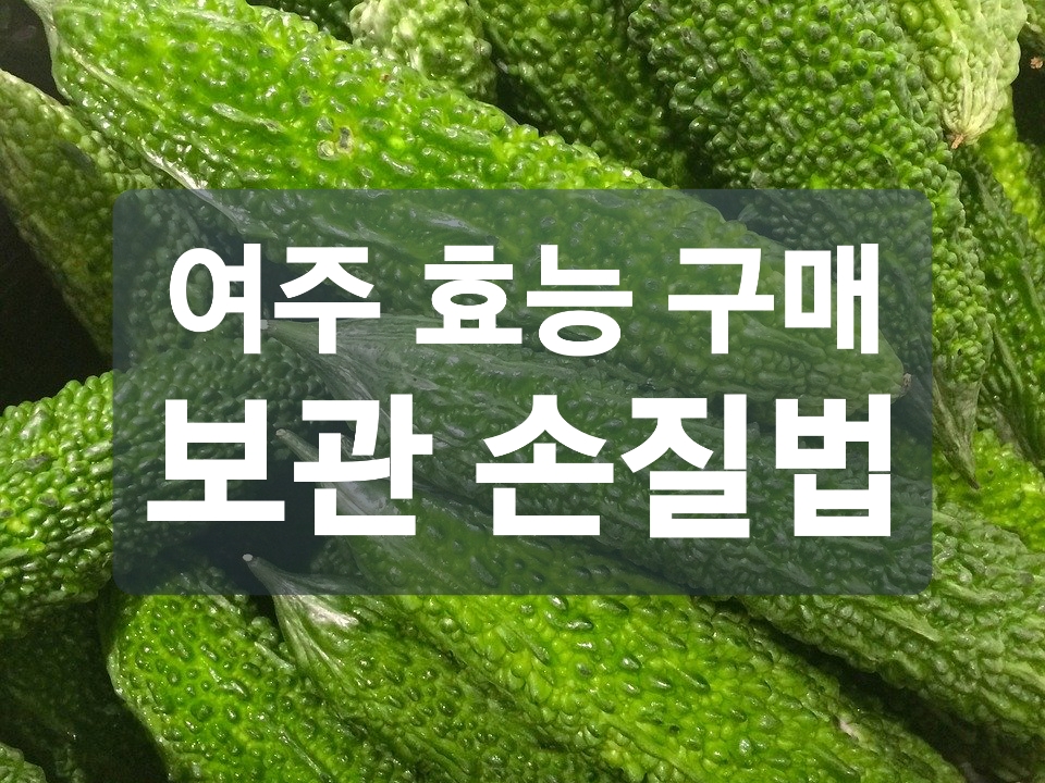  여주 효능 모모르데신