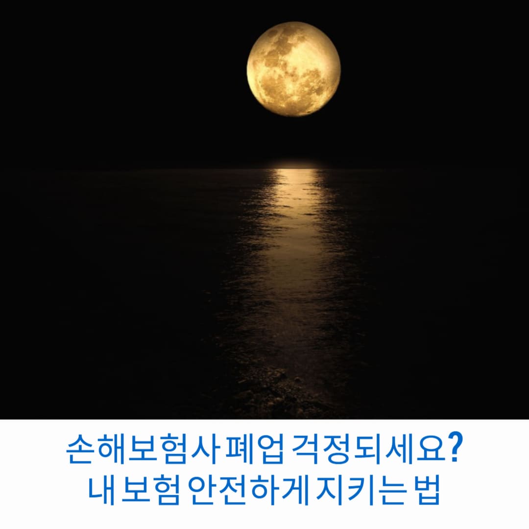 손해보험사-폐업-걱정되세요-내-보험-안전하게-지키는-법-썸네일