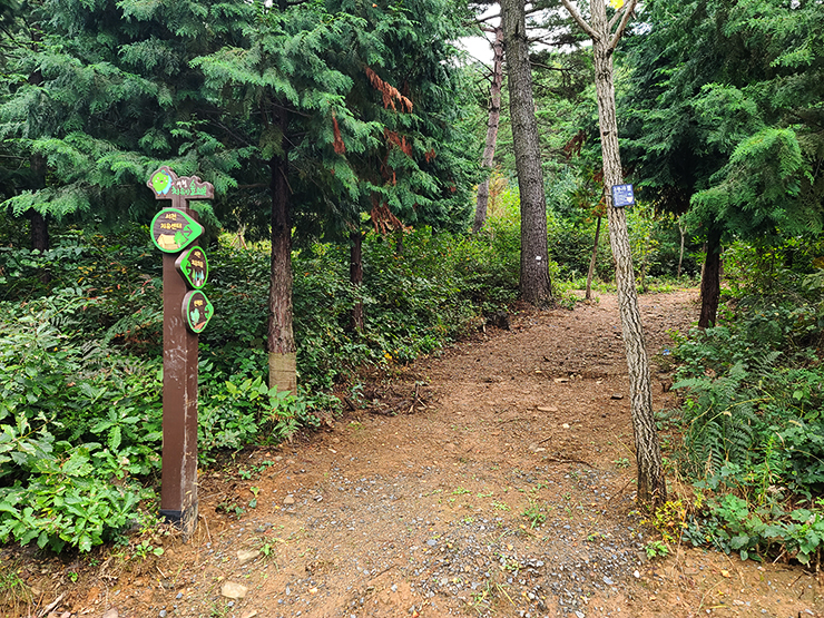 충남 걷기 좋은 숲길 국내여행 걷기 좋은 길, 27