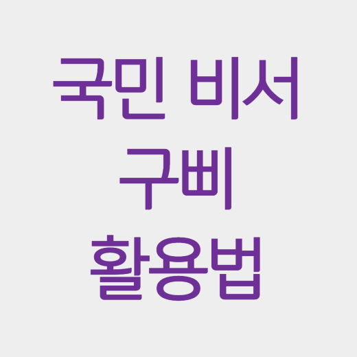  생활정보 알림 서비스 - 국민비서 구삐 소개 및 활용법