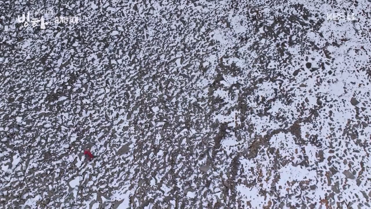 KBS 대기획 3부작 빙하.E01.240308p-NEXT.mp4_20240310_145937.905.jpg