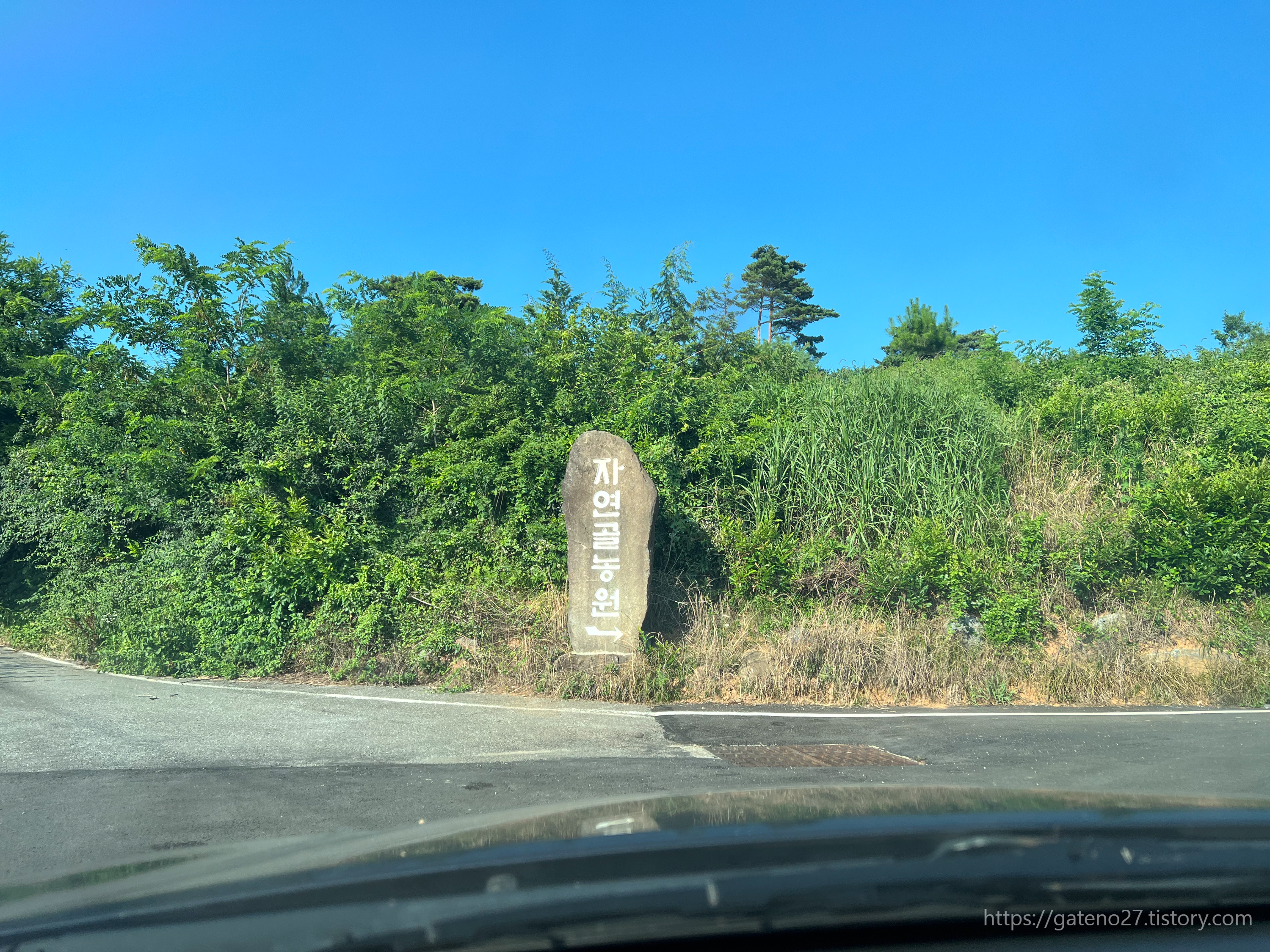 Jayeongolnongwon (자연골농원) 2
