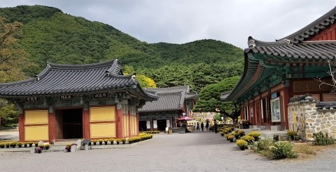 포항시 보경사 전경