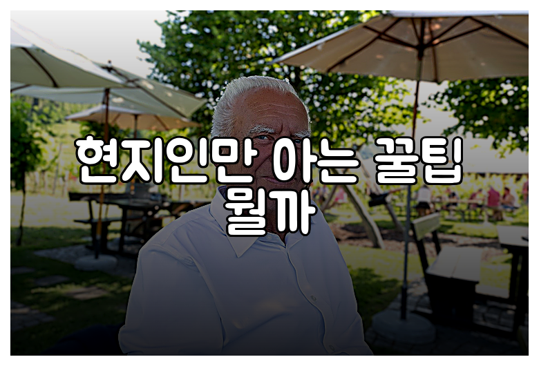 현지인만 아는 꿀팁 뭘까