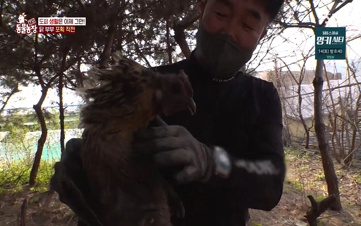 TV 동물농장.E1068.220509p-NEXT.mp4_20220508_173825.937.jpg