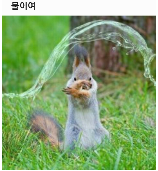  지금 다람쥐 정령을 소환한다