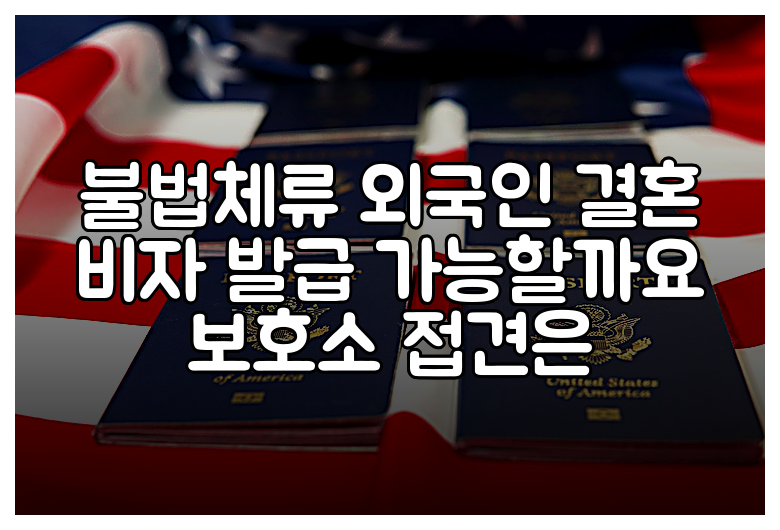 불법체류 외국인 결혼 비자 발급 가능할까요 보호소 접견은