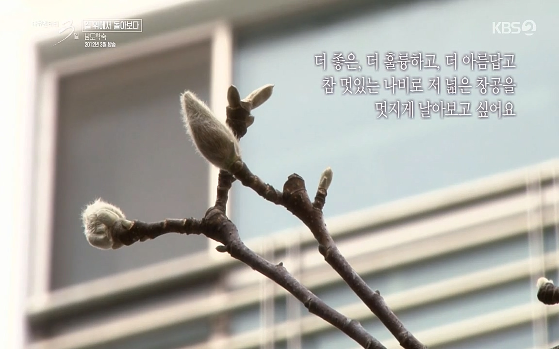 다큐멘터리 3일.E716.220314p-NEXT.mp4_20220315_183051.154.jpg