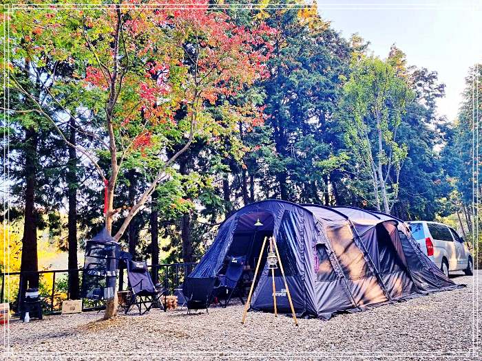 생생정보 모녀가 함께 떠나는 통영 편백숲 캠핑 소개 방송