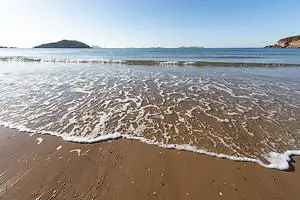 굴업도