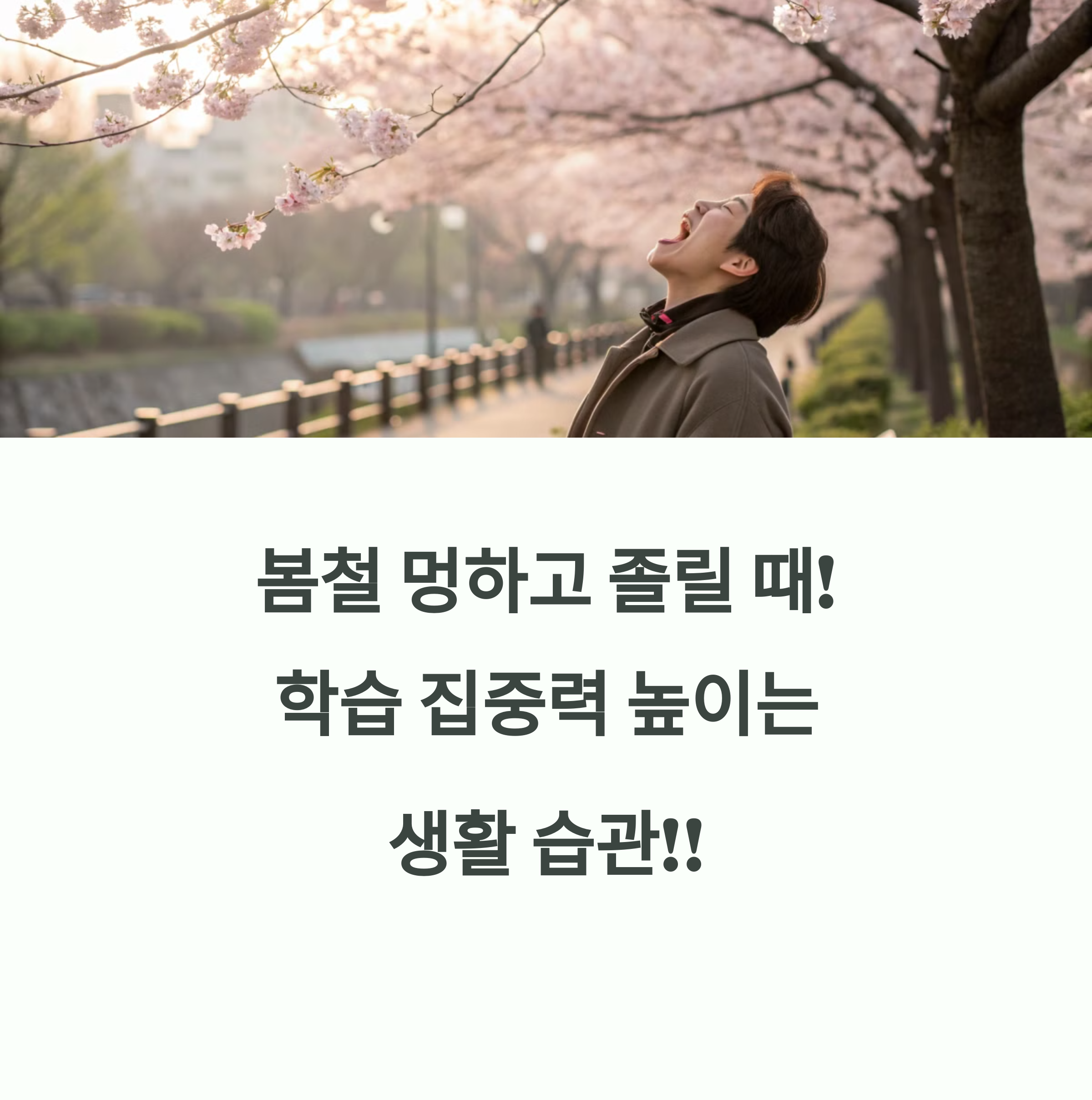 봄철 멍하고 졸릴 때! 학습 집중력 높이는 생활 습관