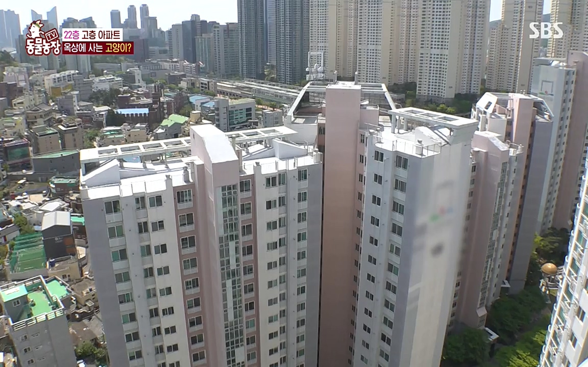 TV 동물농장.E1070.220523p-NEXT.mp4_20220522_182019.995.jpg