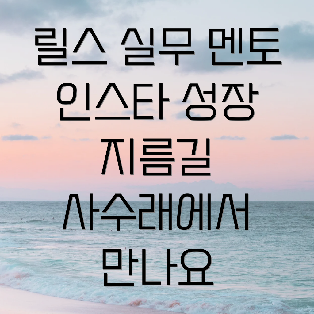 릴스 실무 멘토