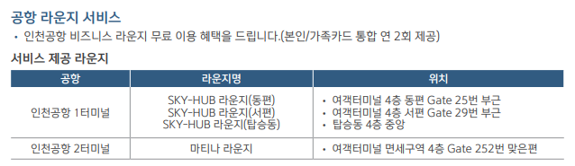 공항 라운지 서비스