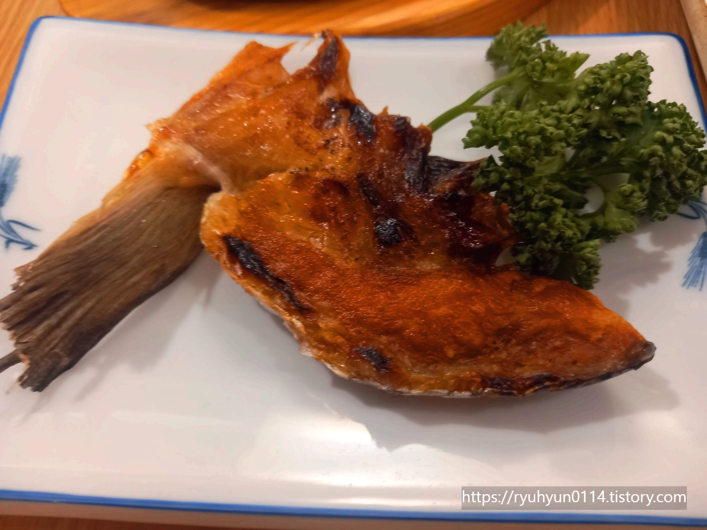 참치야놀자 이미지