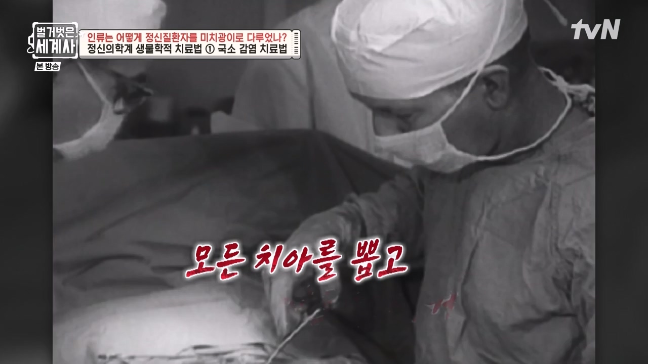 벌거벗은 세계사.E122.231025p-NEXT.mp4_20240525_170400.574.jpg