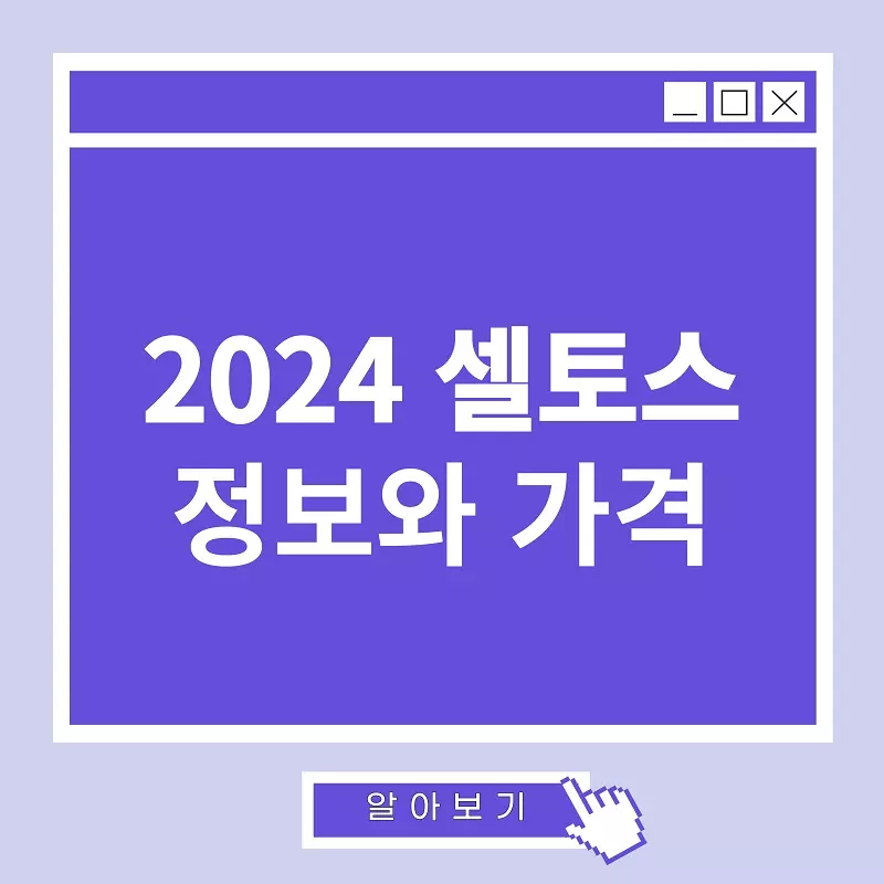 2024 셀토스