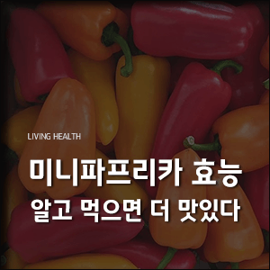  미니파프리카 효능 알고 먹으면 더 맛있다