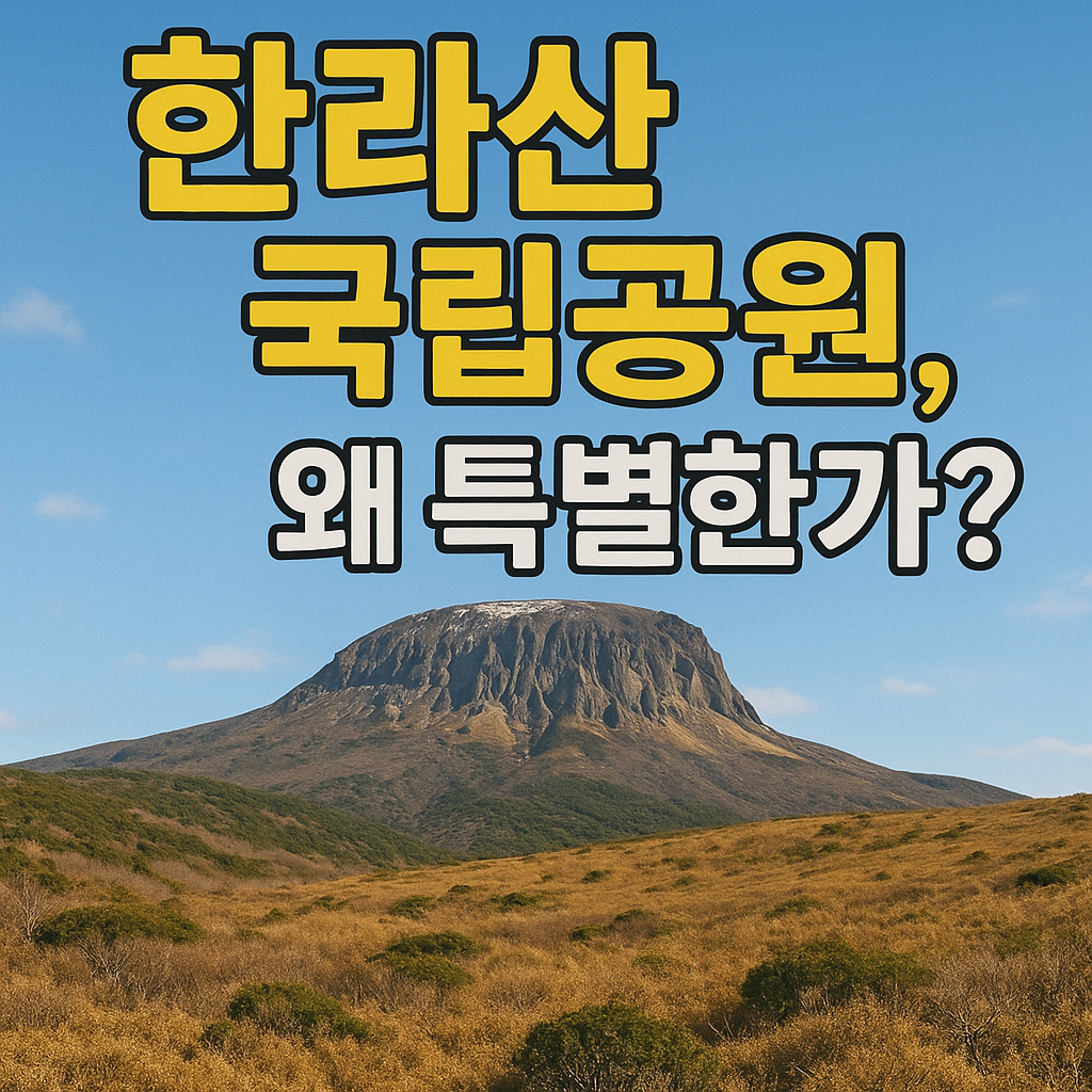 한라산 국립공원 완전정복 가이드