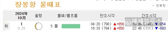 실제-물때표