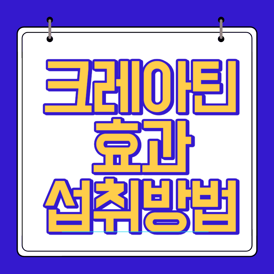  크레아틴 효과 섭취량 복용법 부작용 알아보자