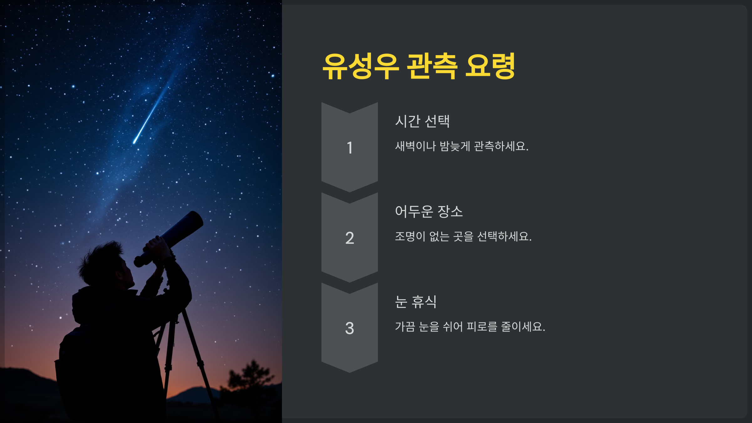별똥별 유성우 관측 요령