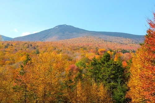 단풍 절정의 산