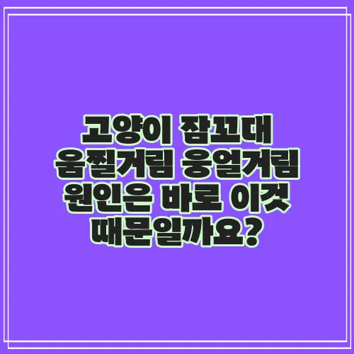 고양이 잠꼬대 움찔거림 웅얼거림 원인은 바로 이것 때문일까요?