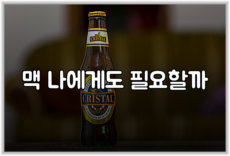 맥 나에게도 필요할까