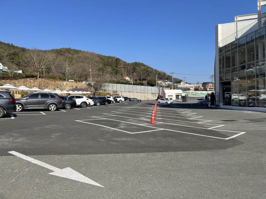 사랑 <느티나무의 > 21