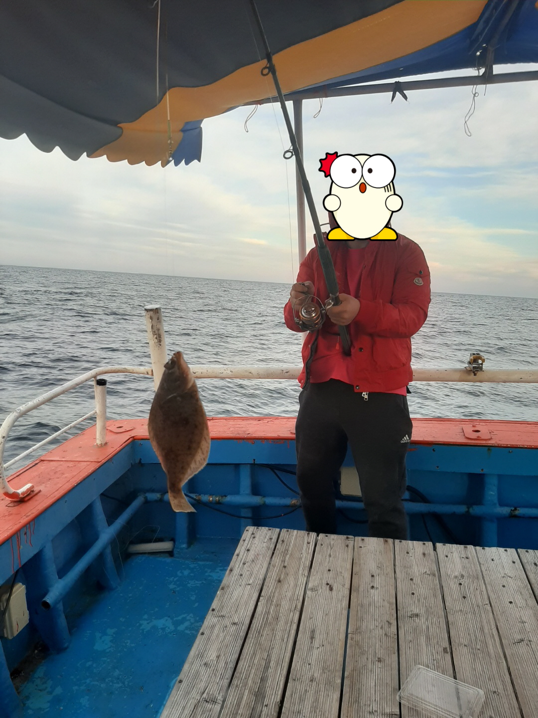  주문진 배낚시 경민호 (선상낚시,체험낚시) 최근 가자미 조항 (문어가나오던날 )입니다.