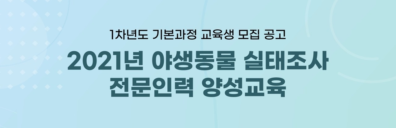 포스팅 썸네일 이미지