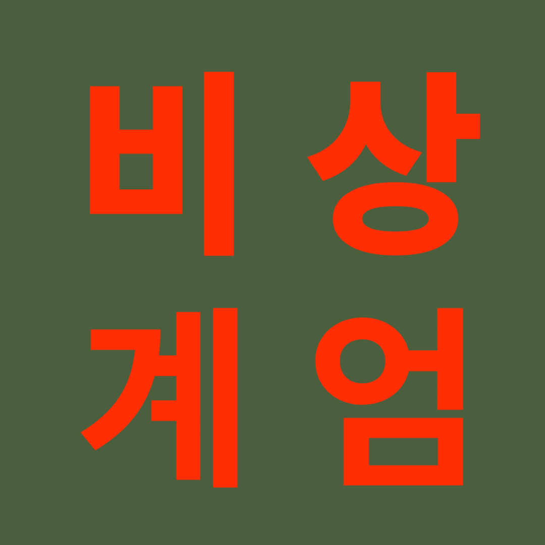 비상계엄 선포