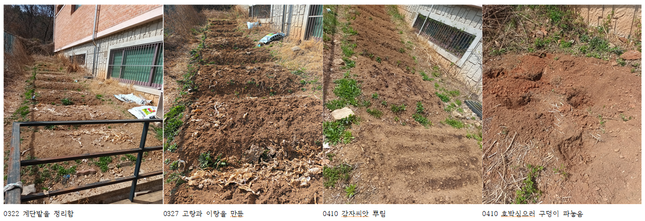 봄:하루 이미지
