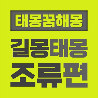  [꿈해몽풀이] 길몽 태몽 조류편 (갈매기 공작새 꾀꼬리 구관조 꿩 닭 독수리 뻐꾹새 봉황 비둘기 새 잉꼬 제비 참새 학 황새)