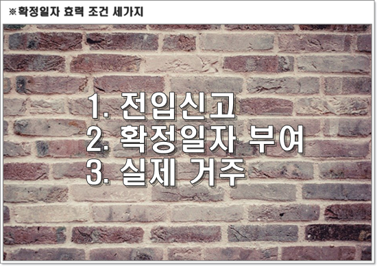 전입신고 과태료전입신고 안하면 과태료 7