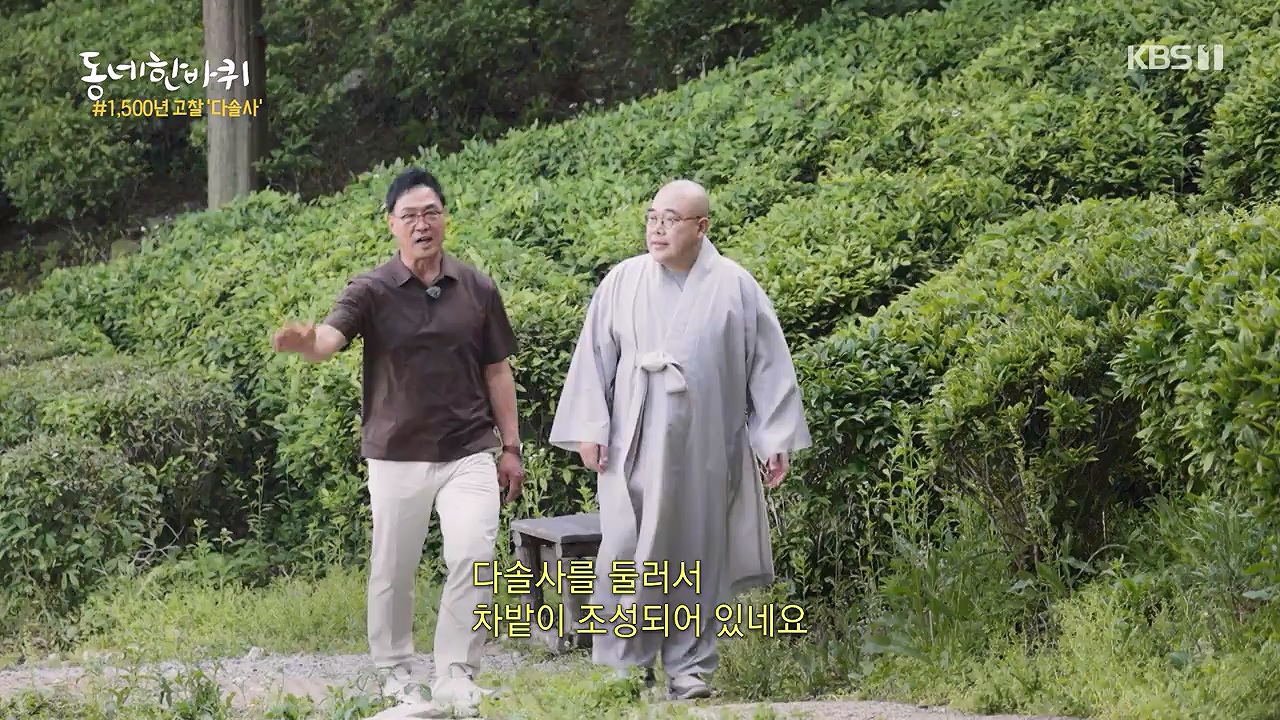 동네 한 바퀴.E281.240707p-NEXT.mp4_20240707_162742.050.jpg