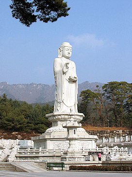 (리뷰) 대구 동화사 탐방, 벚꽃정물, 벚꽃축제 정보 2