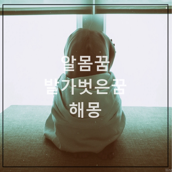  알몸(나체)꿈 발가벗은꿈 해몽에 대하여 상황별 알아보기