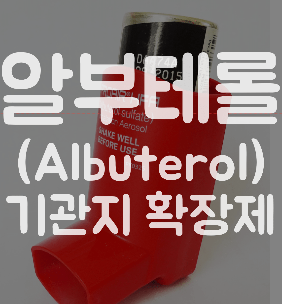 썸네일이름 알부테롤 albuterol 기관지확장제 흡입기 효능 부작용 사용방법