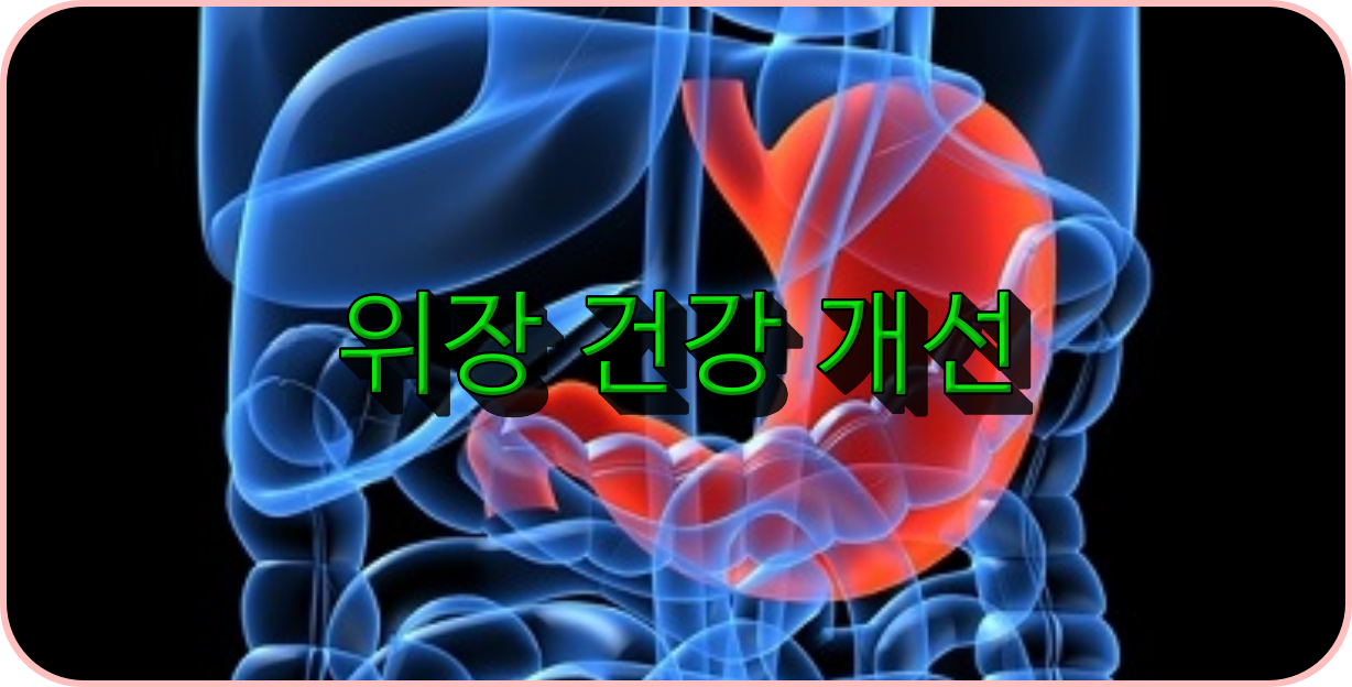 위장 건강 개선