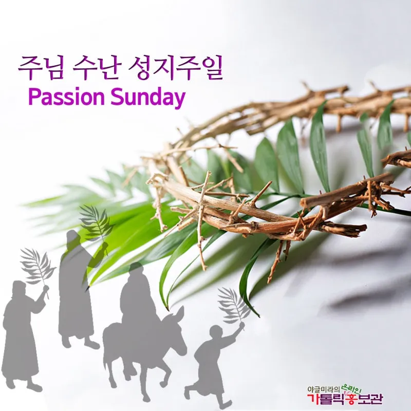 천주교 주님 수난 성지 주일_1