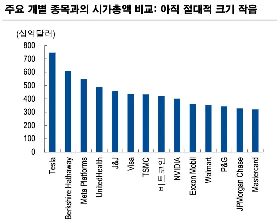 주요 개별 종목과의 시가총액 비교 - 아직 절대적 크기는 작음