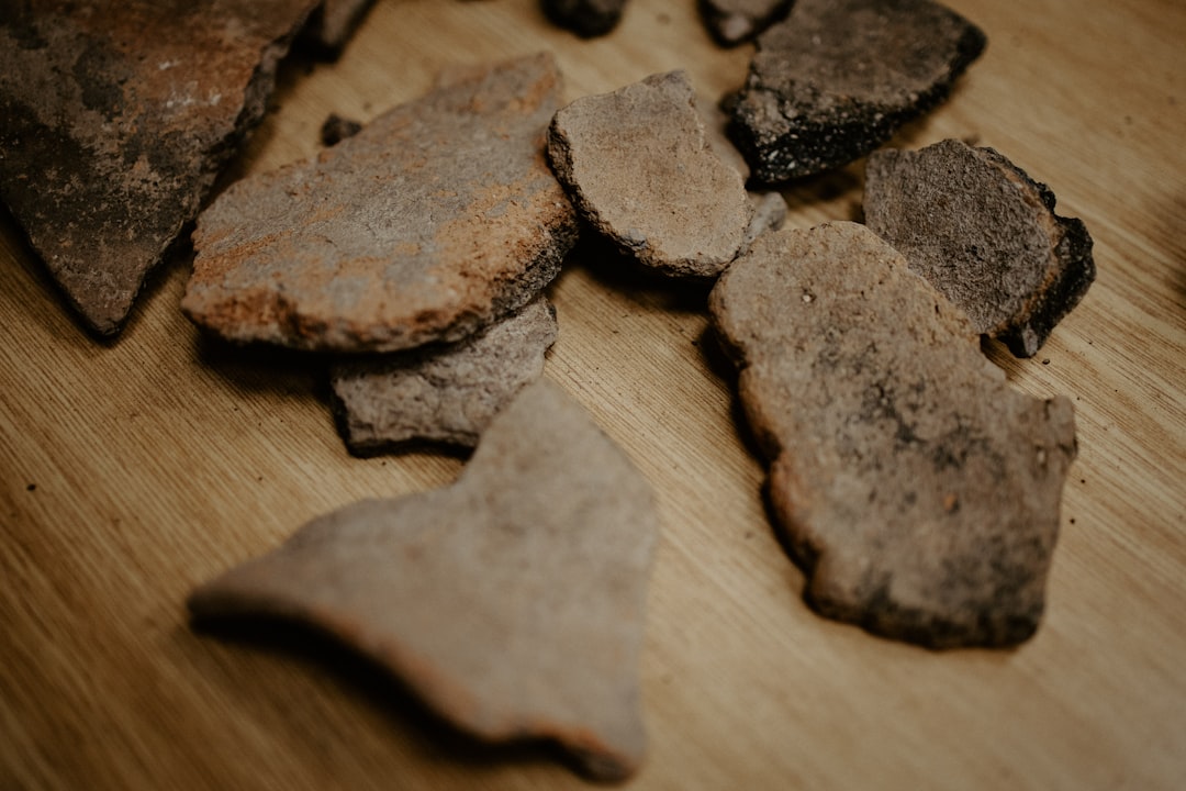 Archaeologist