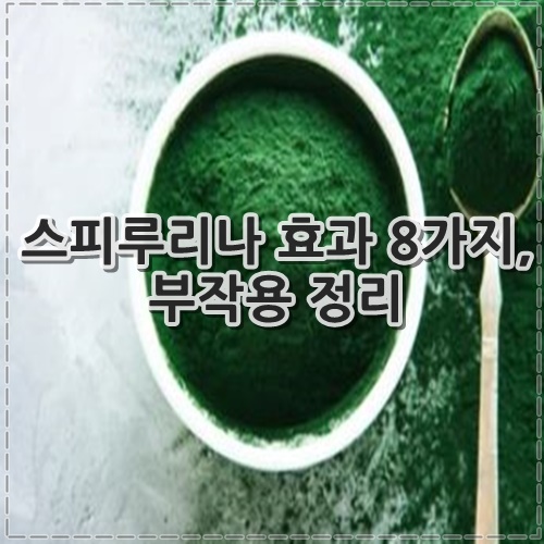 스피루리나 효과 8가지&#44; 부작용 정리