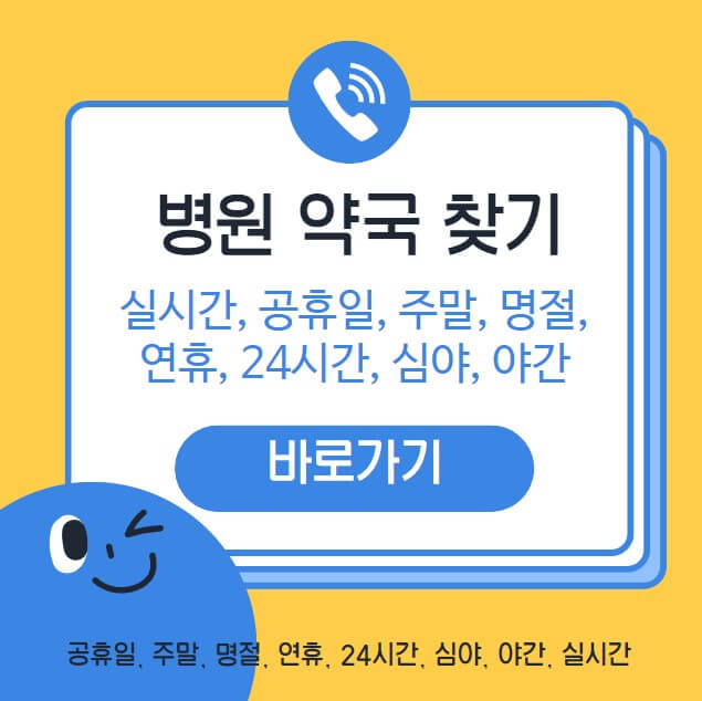 대전시 주말 휴일 심야 야간 명절 병원 약국